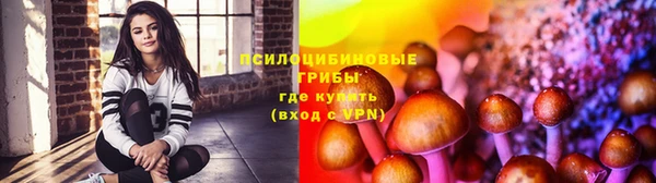 PSILOCYBIN Няндома