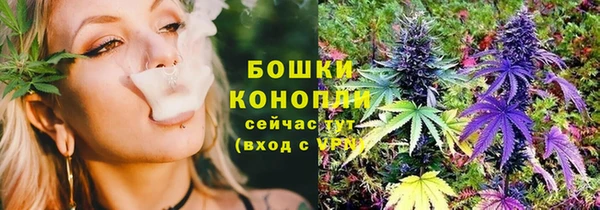 PSILOCYBIN Няндома