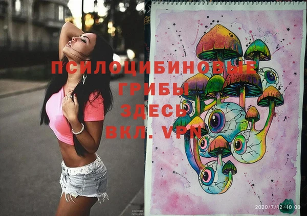 PSILOCYBIN Няндома