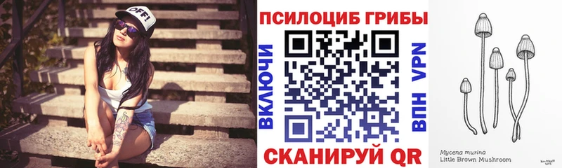 Купить  Закаменск  Псилоцибиновые грибы MAGIC MUSHROOMS 